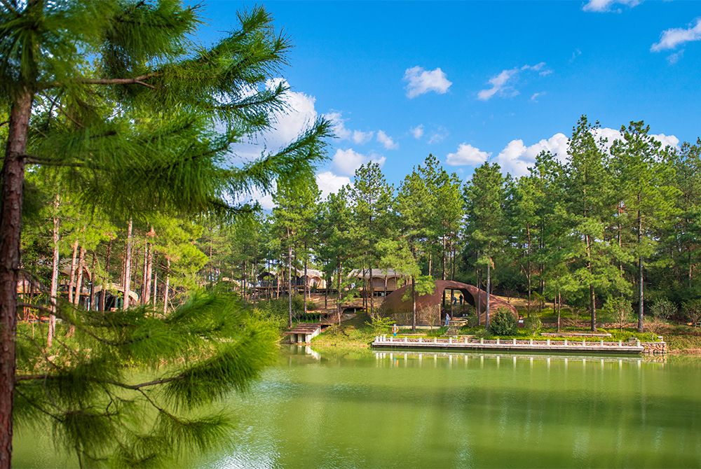 一趟说走就走的"身后事"之旅—上海到安吉龙山源看墓全记录