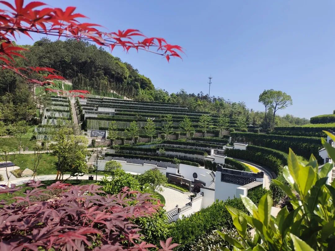 上海周边纪念园怎么选？龙山源全面解析